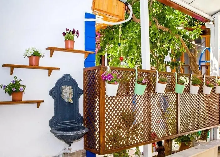 Merve Butik * ディディム